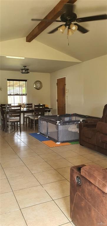 1319 Sago Palm Street, Alamo, Texas image 6