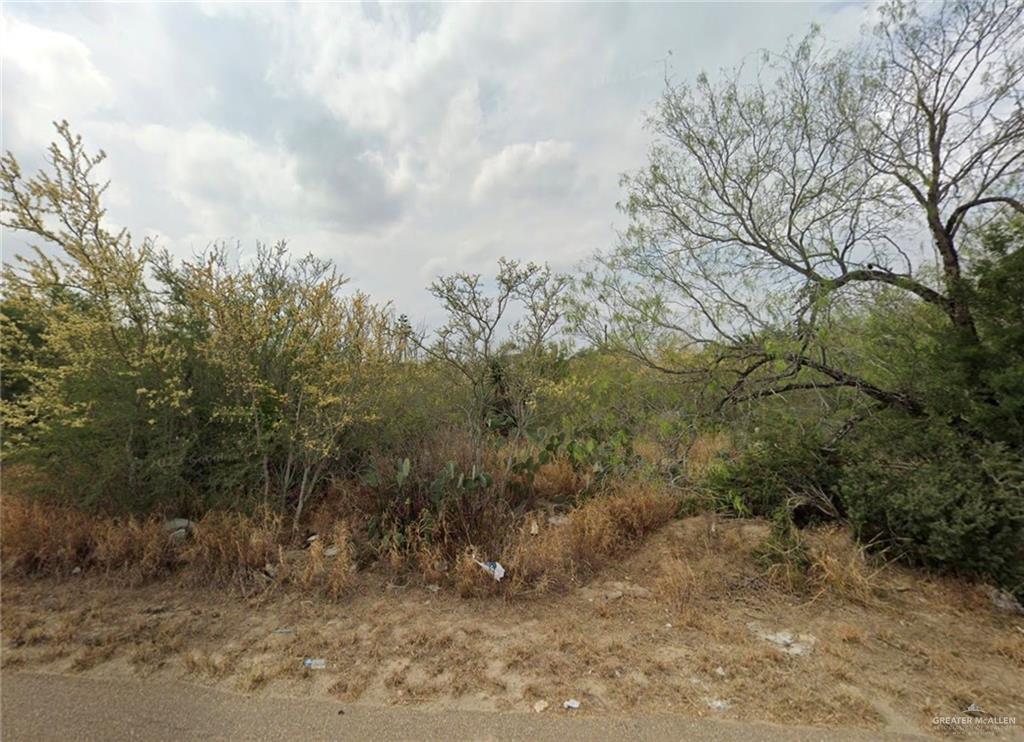 5323 San Pascual Ln, Zapata, Texas image 1
