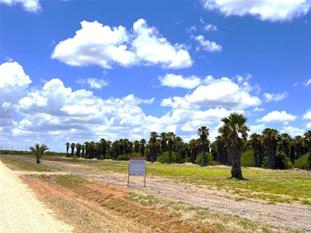 Tract 1 Gomez Road, Rio Hondo, Texas image 2