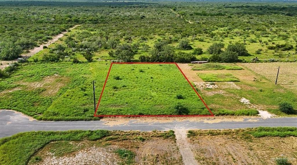 16 Carlotta Street, Rio Grande City, Texas image 1
