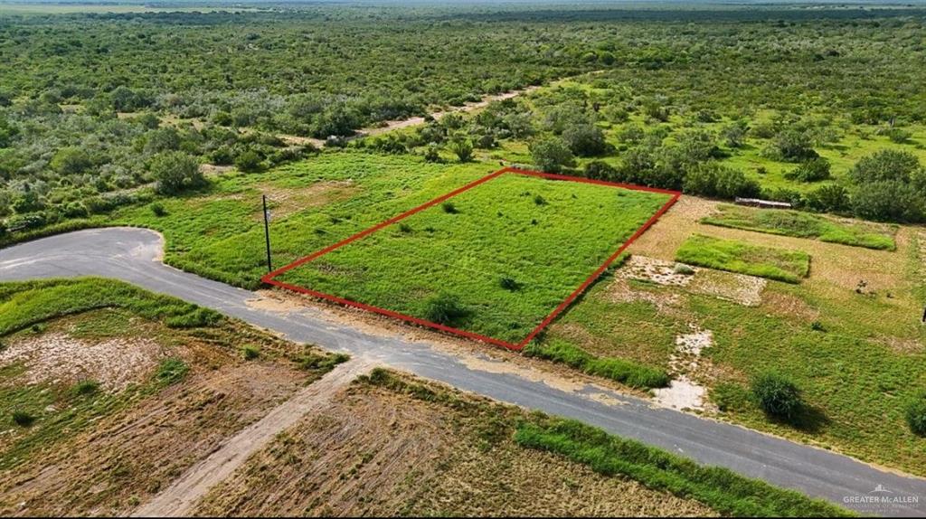 16 Carlotta Street, Rio Grande City, Texas image 4