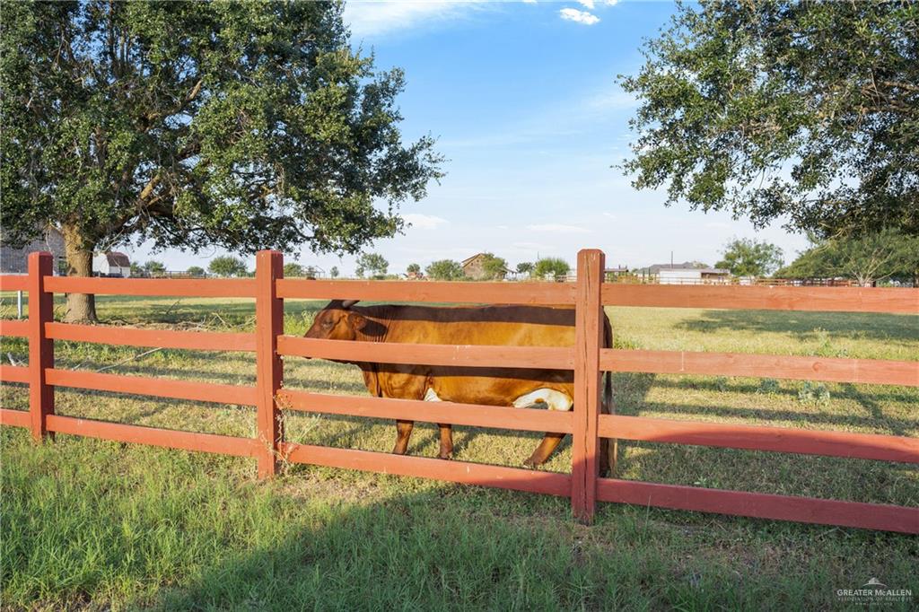 23803 Oak Knoll Street, Edcouch, Texas image 8