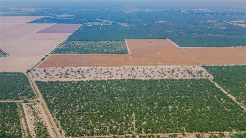 00 Mission Street, La Grulla, Texas image 8