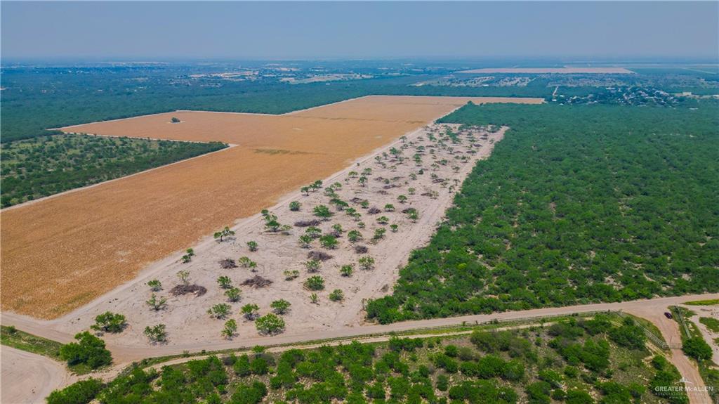 00 Mission Street, La Grulla, Texas image 9