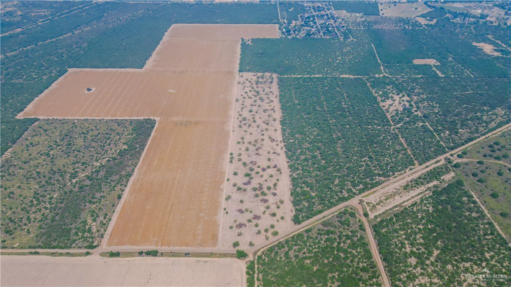 00 Mission Street, La Grulla, Texas image 6