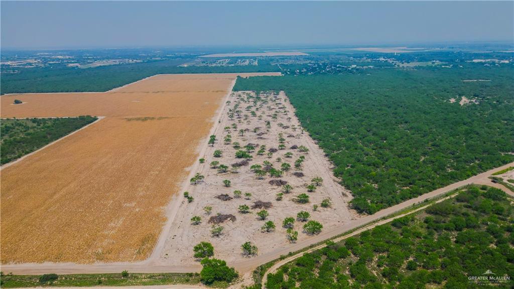 00 Mission Street, La Grulla, Texas image 10