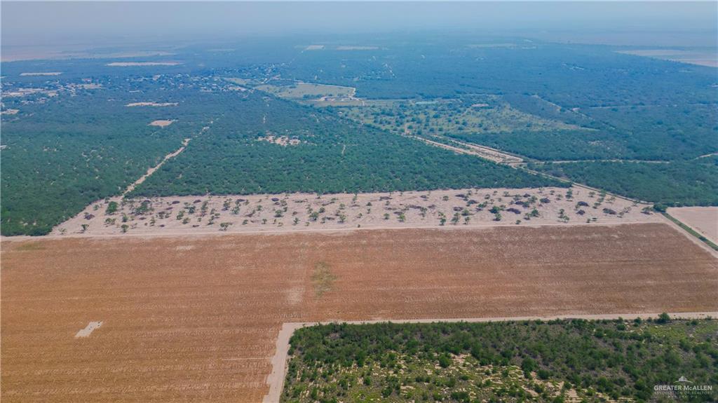 00 Mission Street, La Grulla, Texas image 15