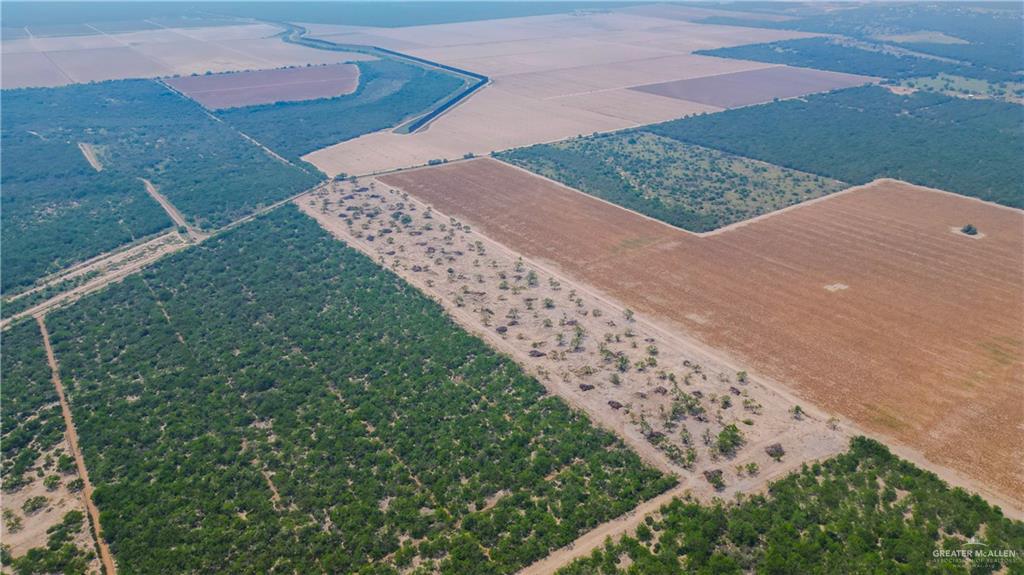 00 Mission Street, La Grulla, Texas image 11