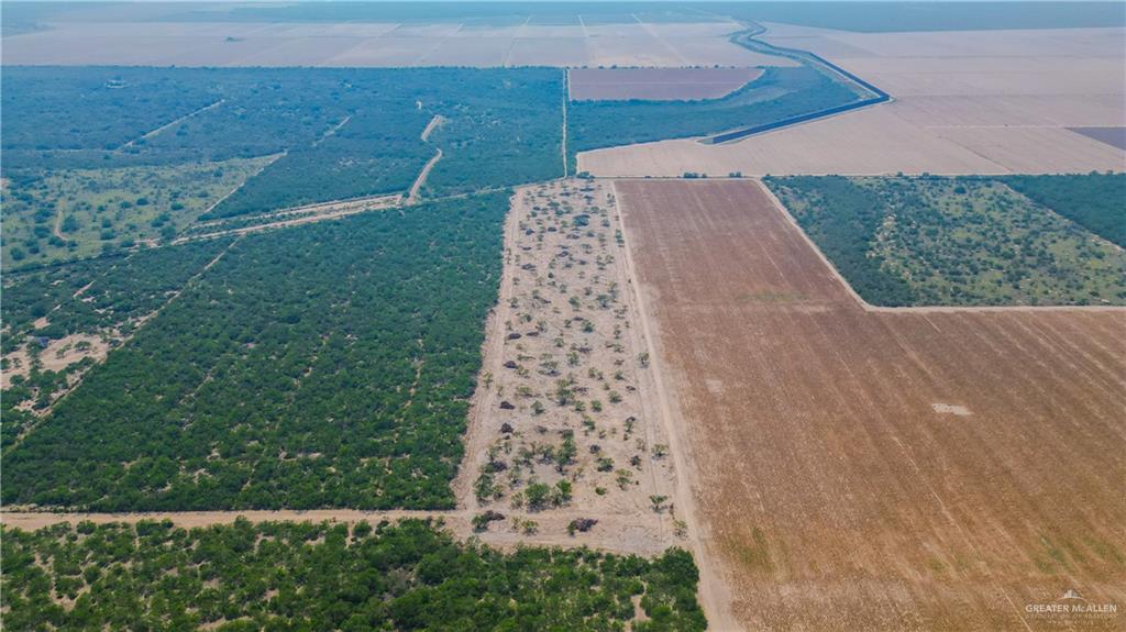 00 Mission Street, La Grulla, Texas image 12