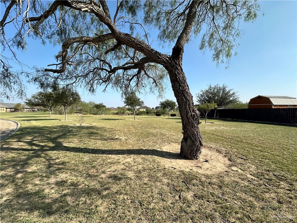 11772 Mesquite Circle, Weslaco, Texas image 4