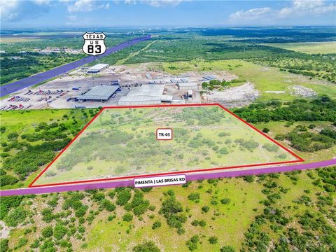 Vacant Land For Sale - TR 5 Pimenta Road<br/> Starr County, Rio Grande City, TX 78582