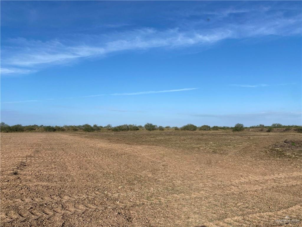 9.85 AC Coolidge Street, Hargill, Texas image 6