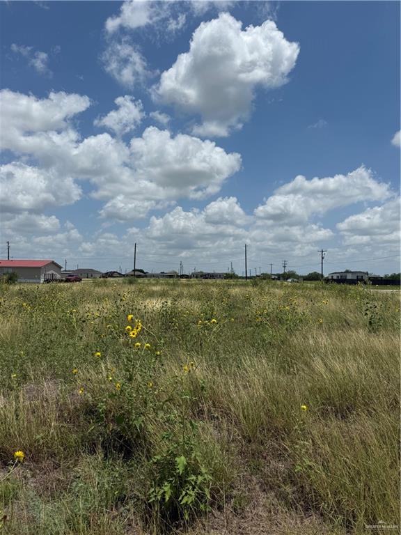 00 Azteca Street, San Benito, Texas image 3