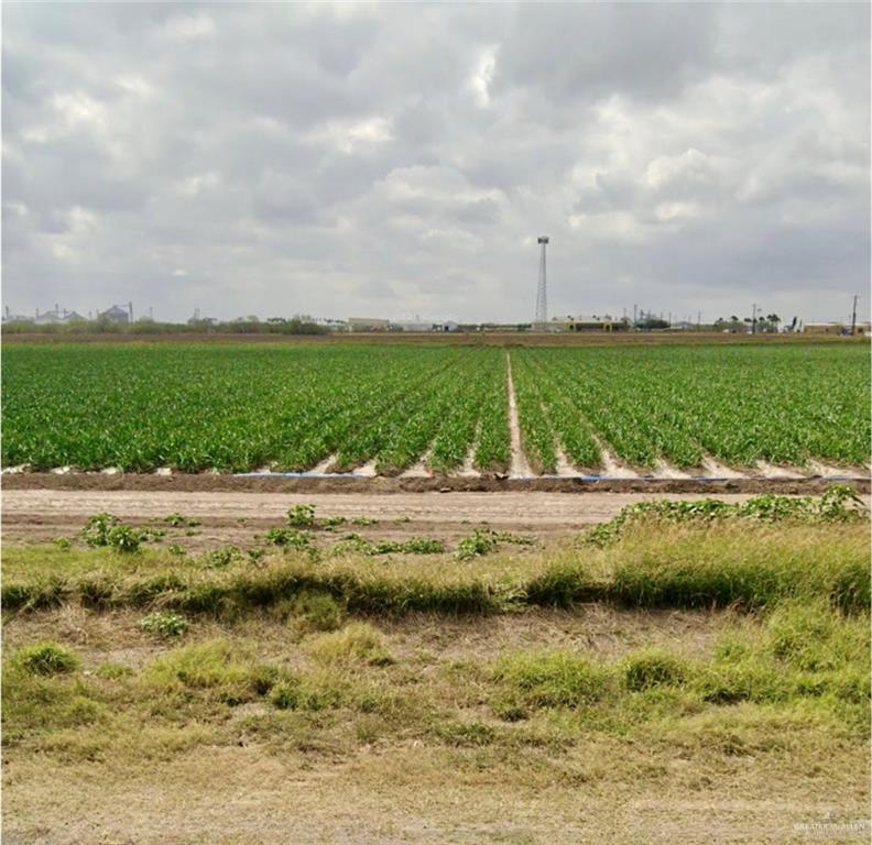 TBD S Military Road, Progreso, Texas image 2