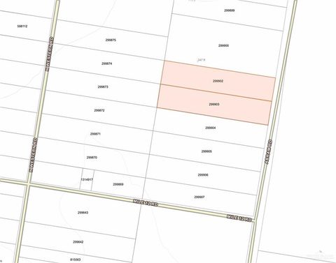 Vacant Land For Sale - Abram Road<br/> Mission, TX 78572