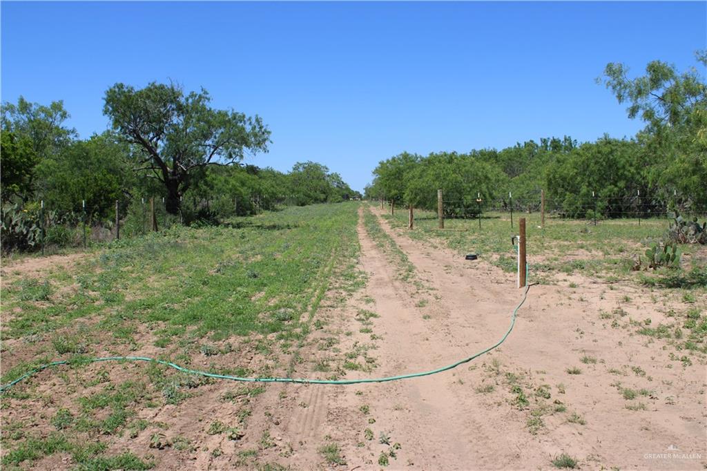 1645 Cr 288 Road, Concepcion, Texas image 10