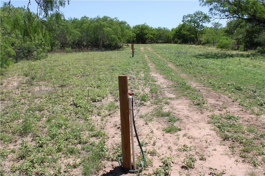 1645 Cr 288 Road, Concepcion, Texas image 11