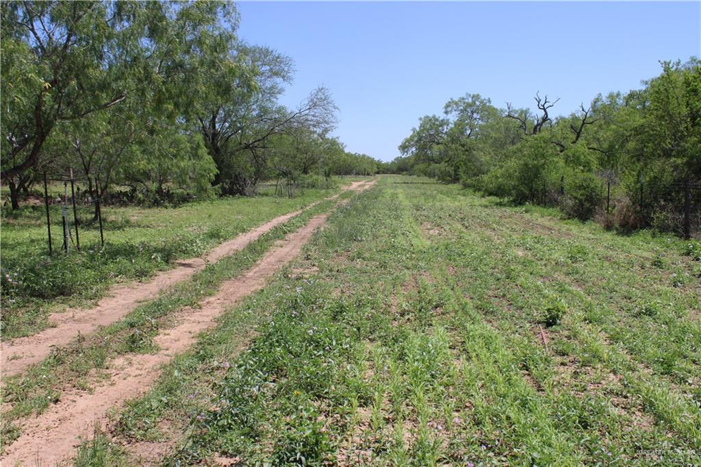 1645 Cr 288 Road, Concepcion, Texas image 14