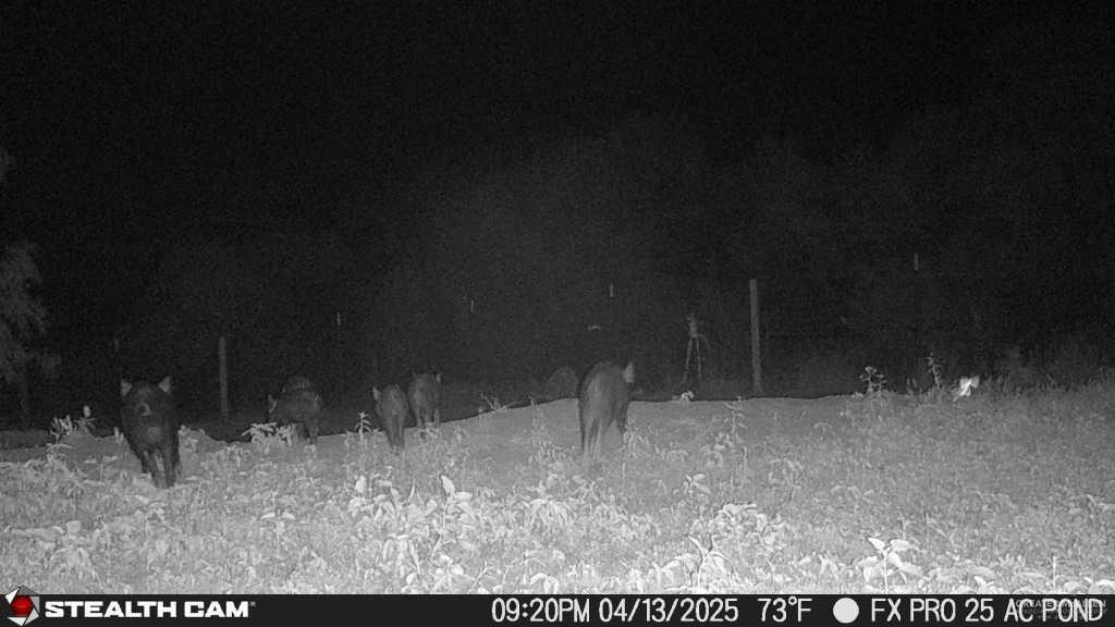 1645 Cr 288 Road, Concepcion, Texas image 36