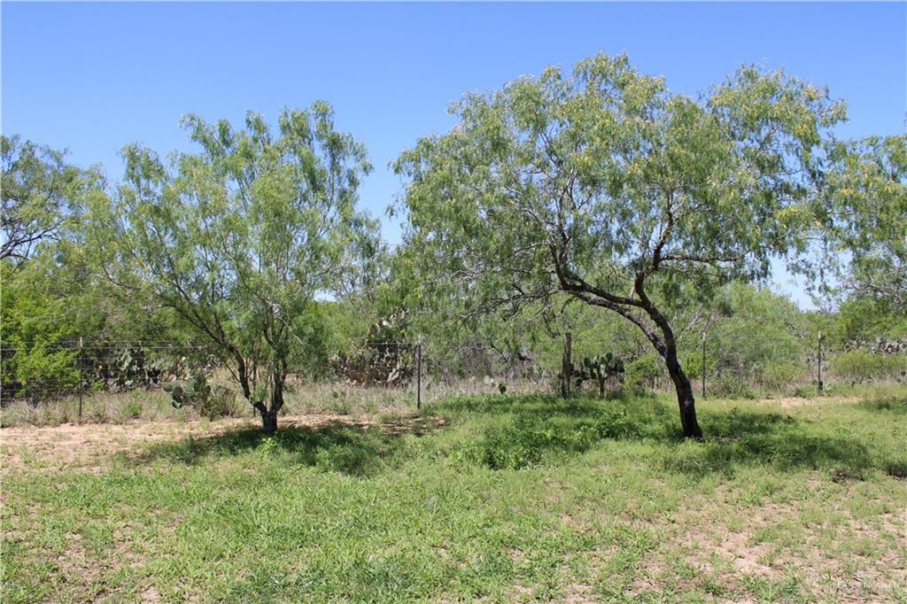 1645 Cr 288 Road, Concepcion, Texas image 26