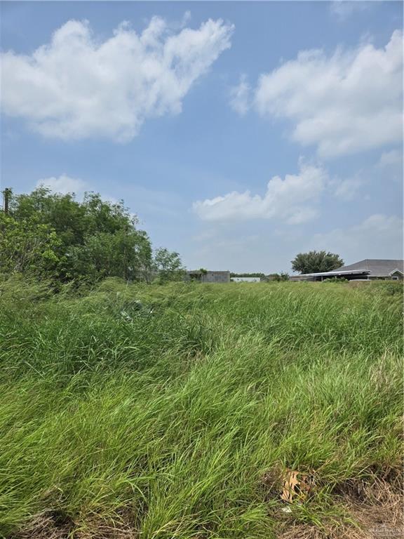4807 Wynn Drive, Donna, Texas image 2