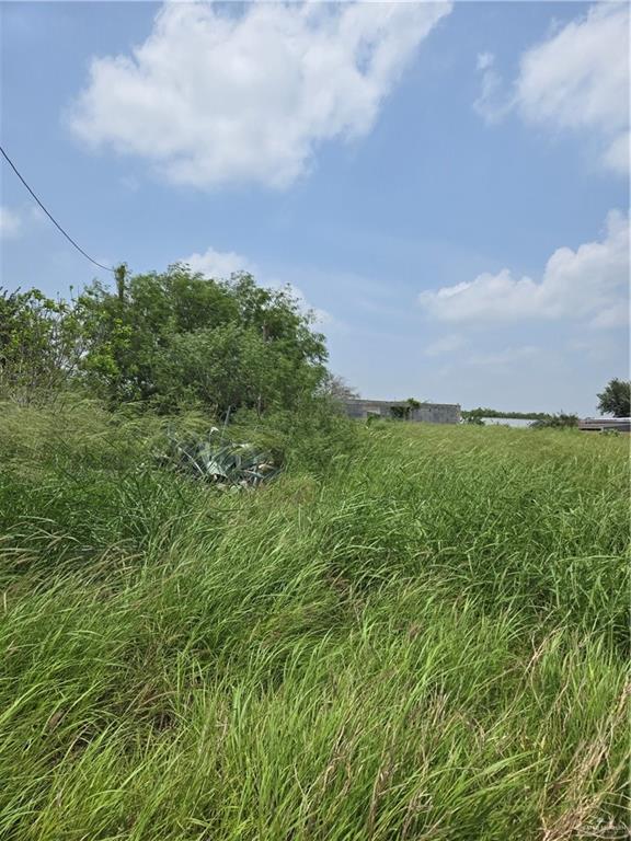4807 Wynn Drive, Donna, Texas image 1