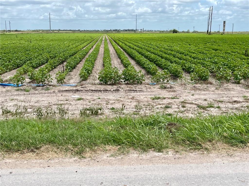 TBD Prolongacion Gonzalez Road, Progreso, Texas image 4