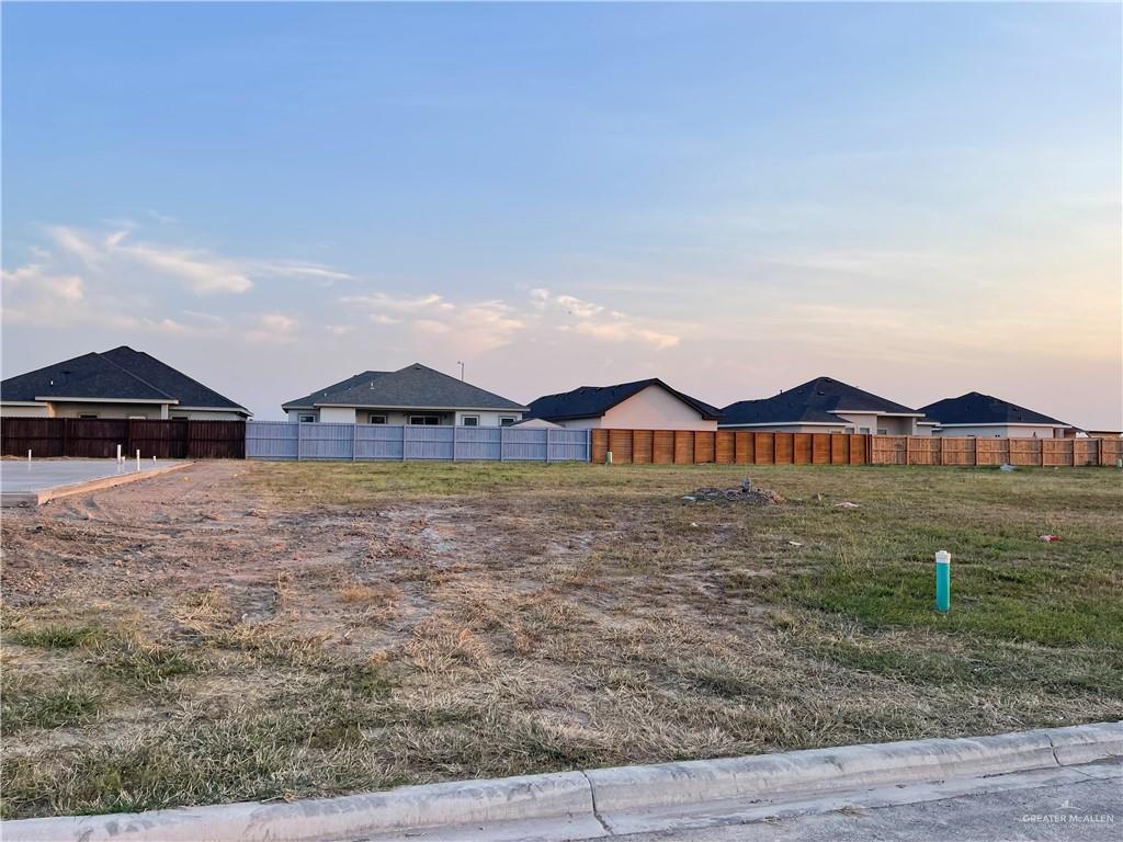 3104 Uva Avenue, Hidalgo, Texas image 3