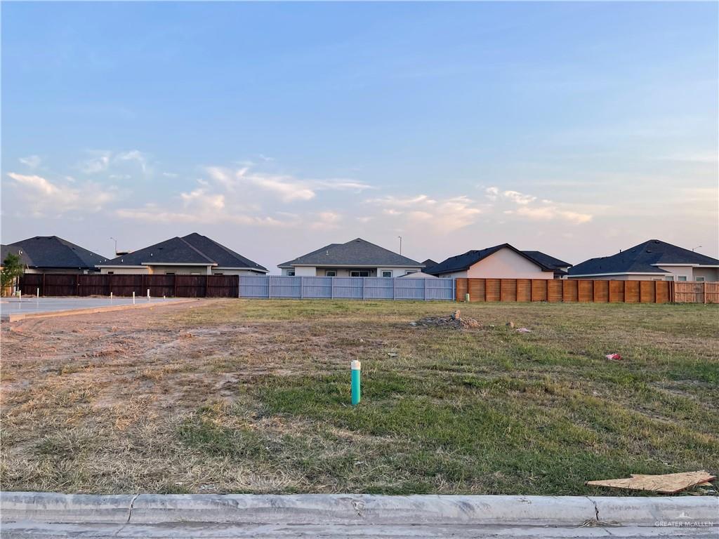 3104 Uva Avenue, Hidalgo, Texas image 2