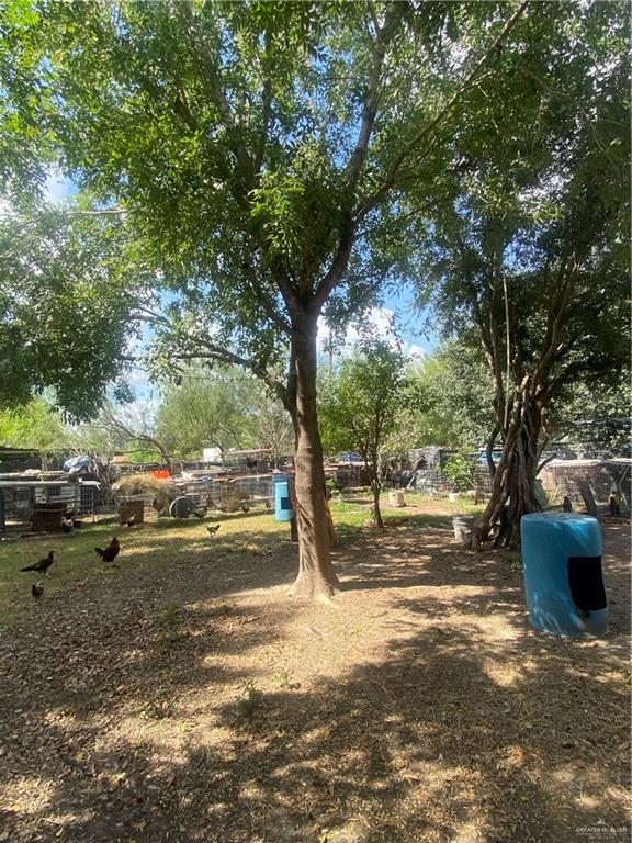 4805 E Raven Circle, Edinburg, South Carolina image 19