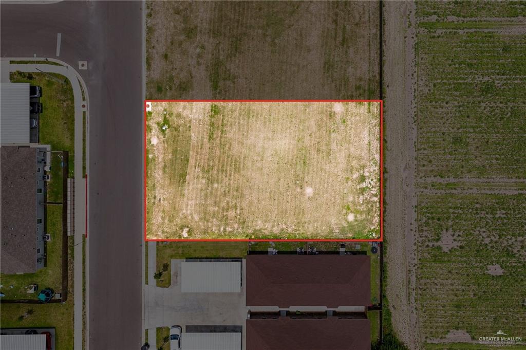 812 W Sunset Valley Street, Alton, Texas image 2