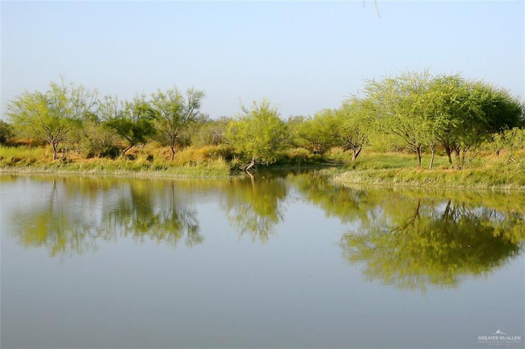 NE Loma Blanca Road, Roma, Texas image 31