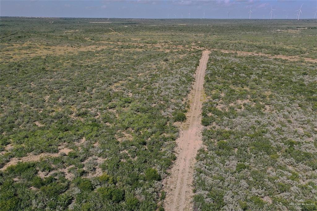 NE Loma Blanca Road, Roma, Texas image 44