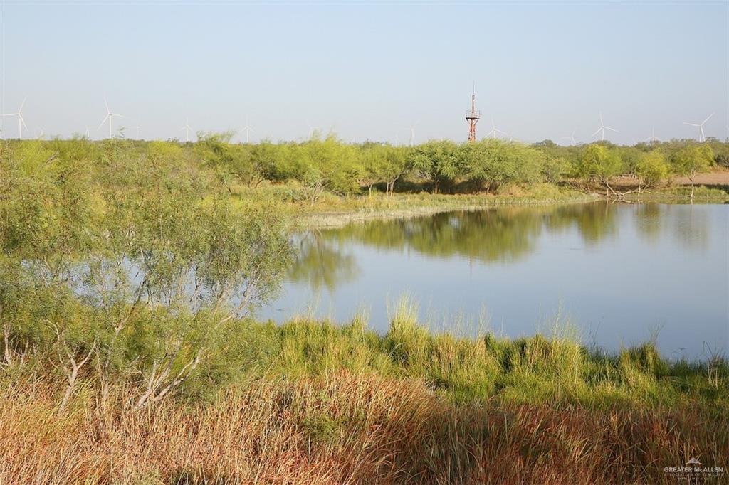 NE Loma Blanca Road, Roma, Texas image 33