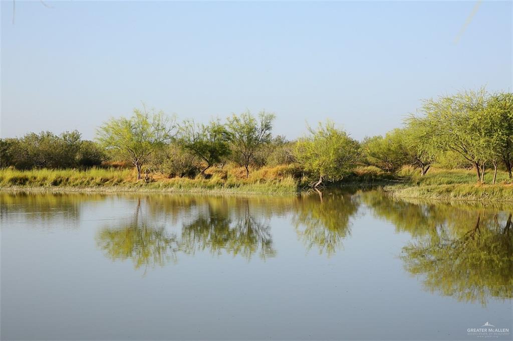 NE Loma Blanca Road, Roma, Texas image 30