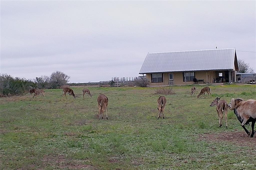 NE Loma Blanca Road, Roma, Texas image 19