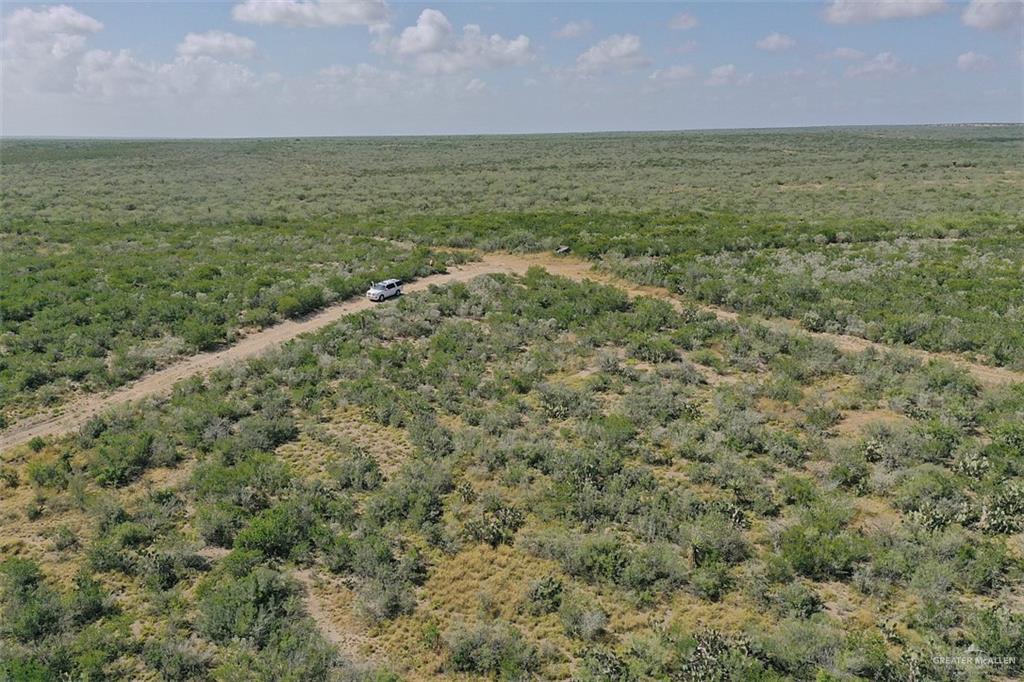 NE Loma Blanca Road, Roma, Texas image 45