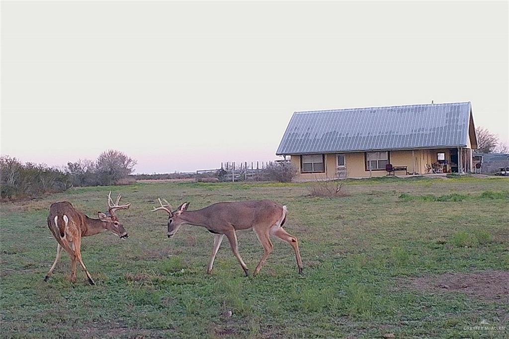 NE Loma Blanca Road, Roma, Texas image 23