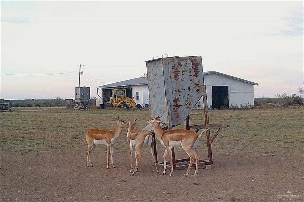 NE Loma Blanca Road, Roma, Texas image 11