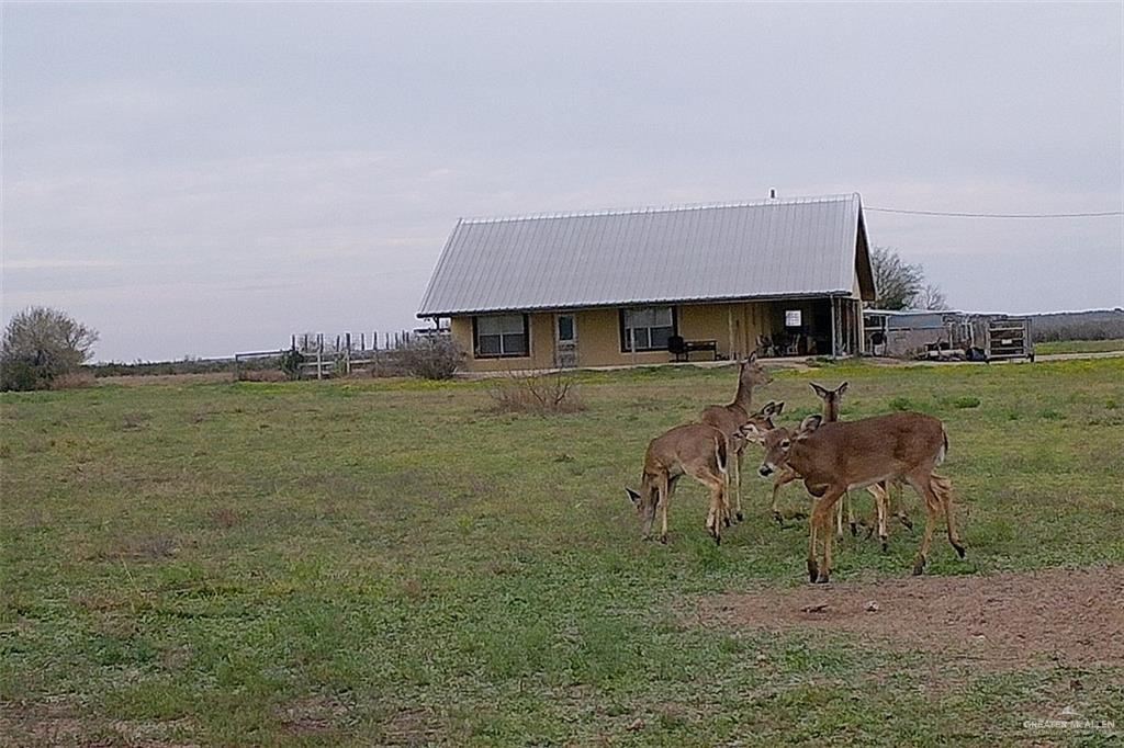 NE Loma Blanca Road, Roma, Texas image 10