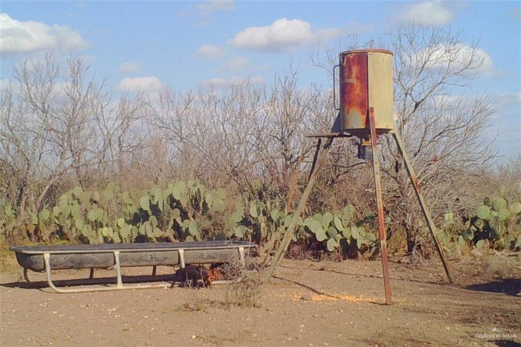 NE Loma Blanca Road, Roma, Texas image 12