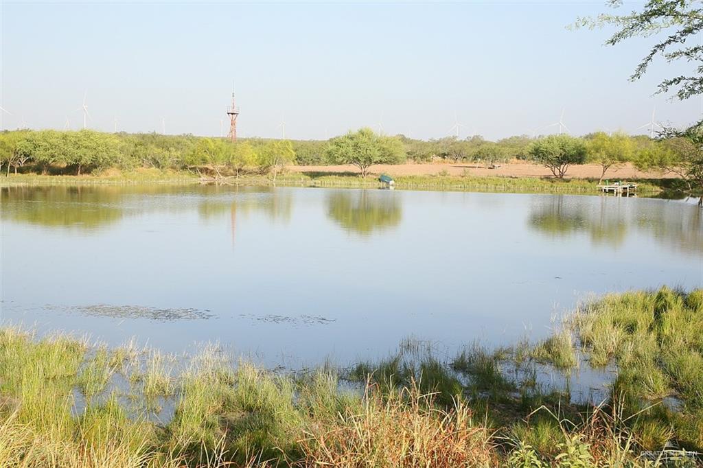 NE Loma Blanca Road, Roma, Texas image 32