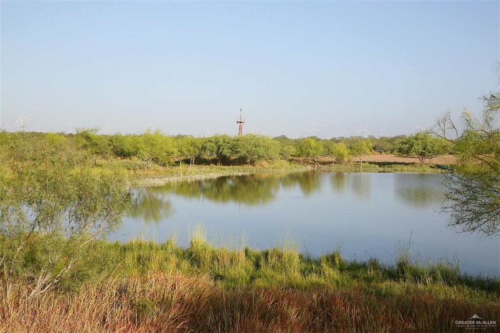 NE Loma Blanca Road, Roma, Texas image 35