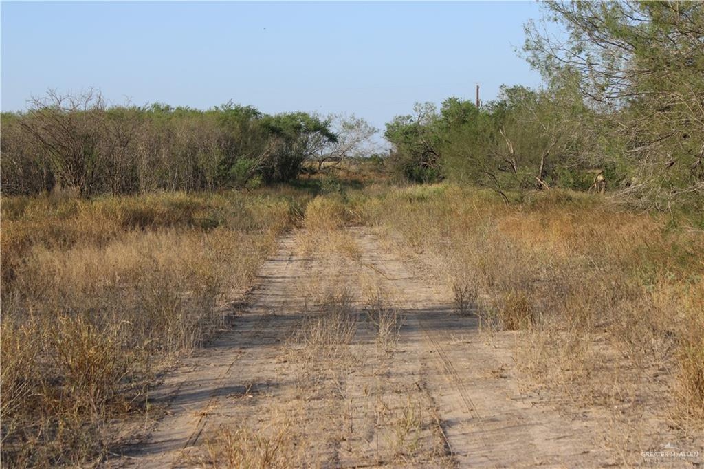 Catarina Road, Santa Elena, Texas image 5