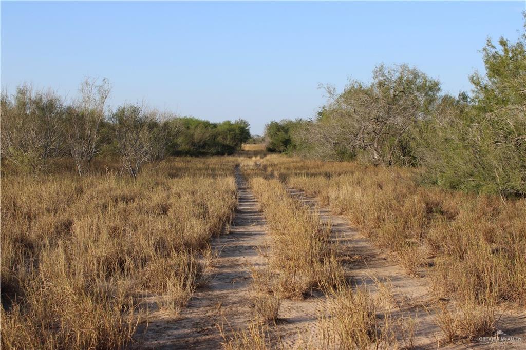 Catarina Road, Santa Elena, Texas image 9