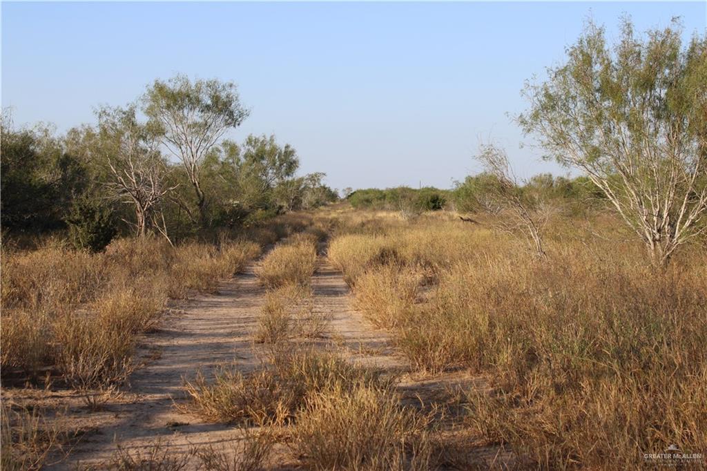 Catarina Road, Santa Elena, Texas image 7