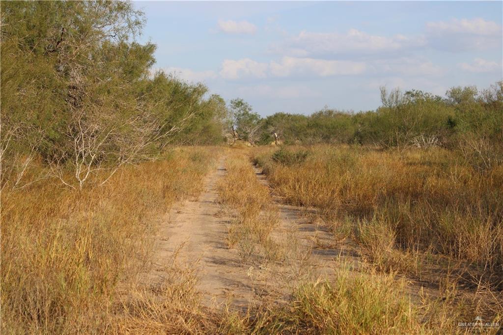 Catarina Road, Santa Elena, Texas image 6