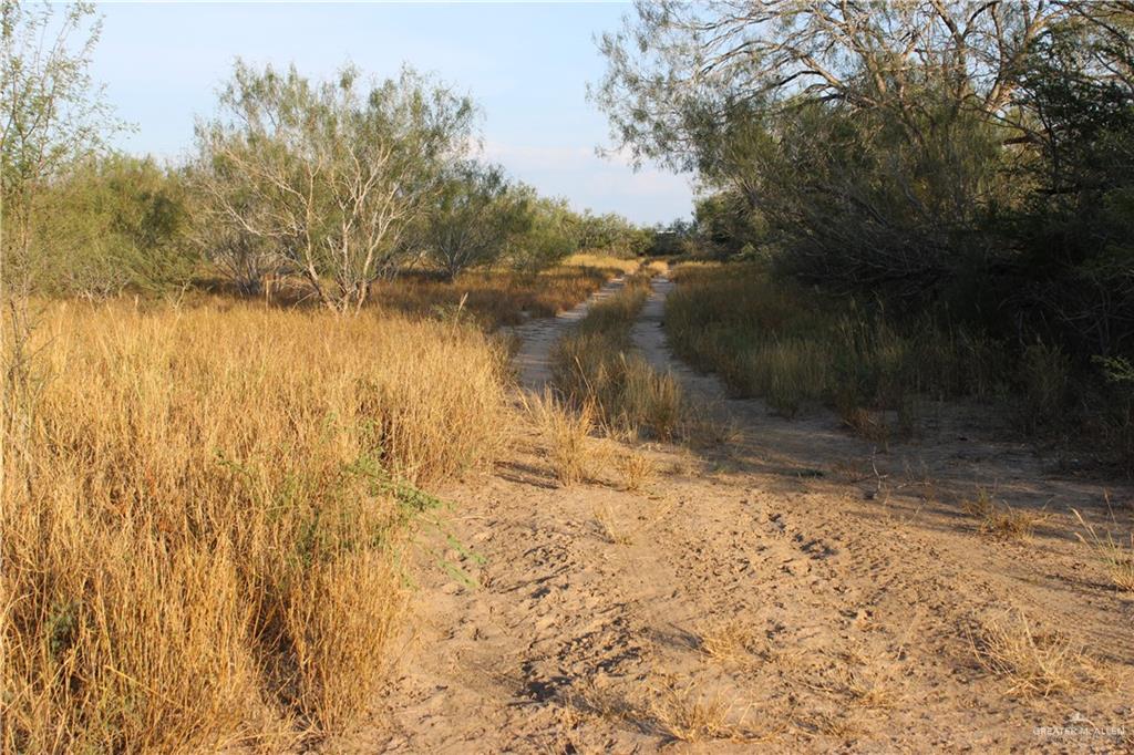 Catarina Road, Santa Elena, Texas image 8