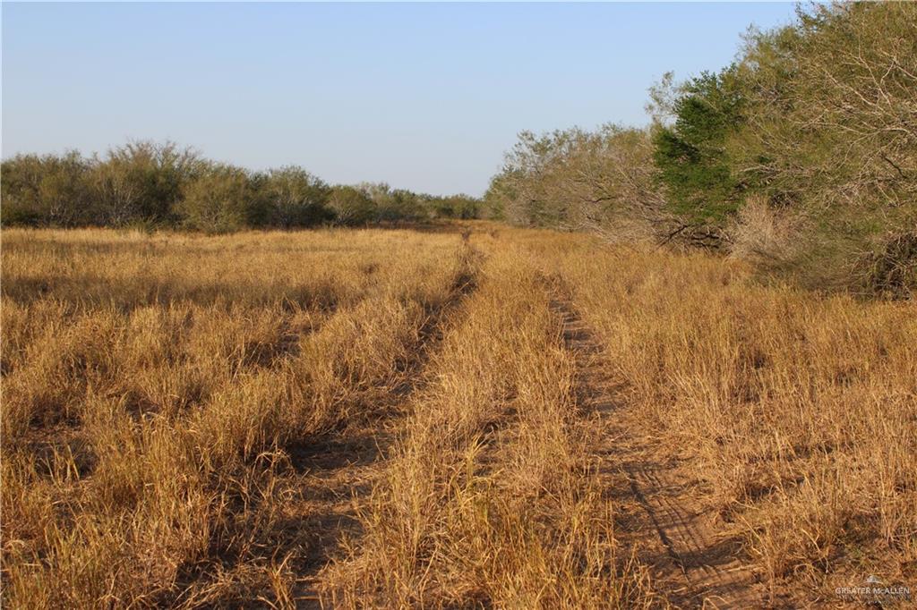 Catarina Road, Santa Elena, Texas image 10