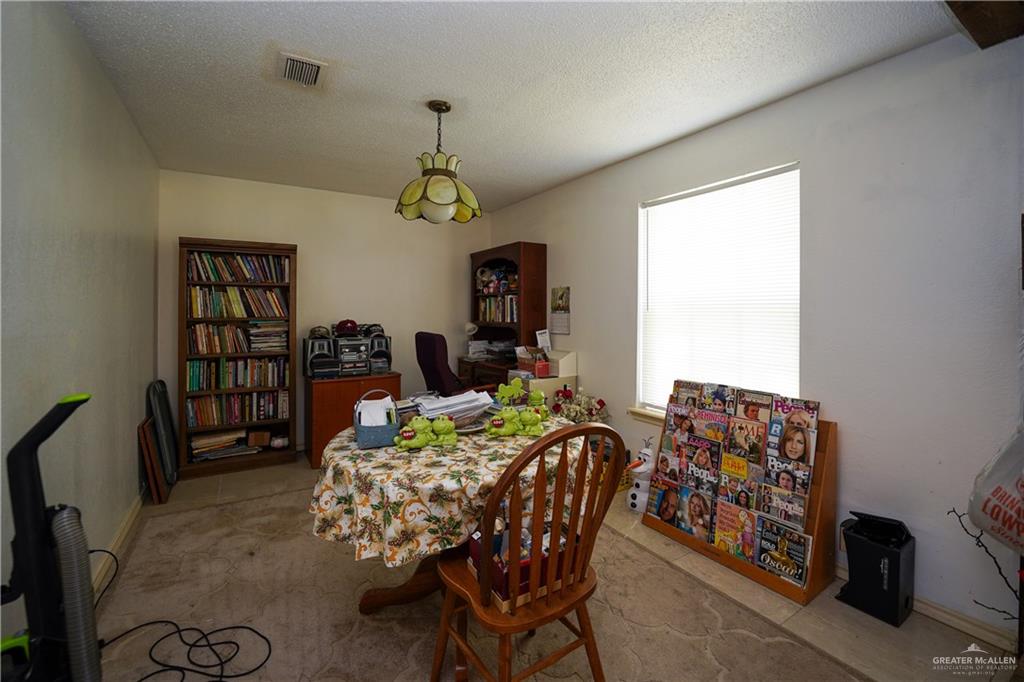 603 S Alamo Road, Alamo, Texas image 13